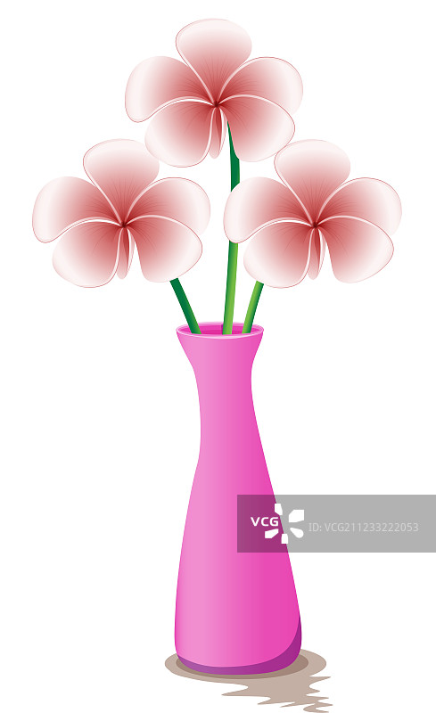 粉色花瓶与鲜花图片素材
