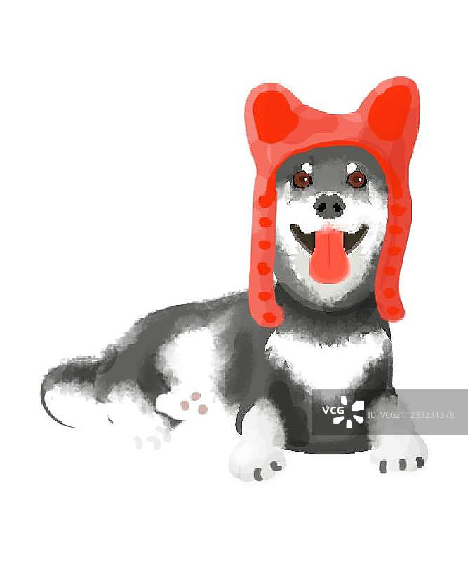 哈士奇犬图片素材