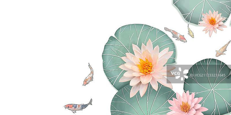 盛开的荷花和中华锦鲤在游动图片素材