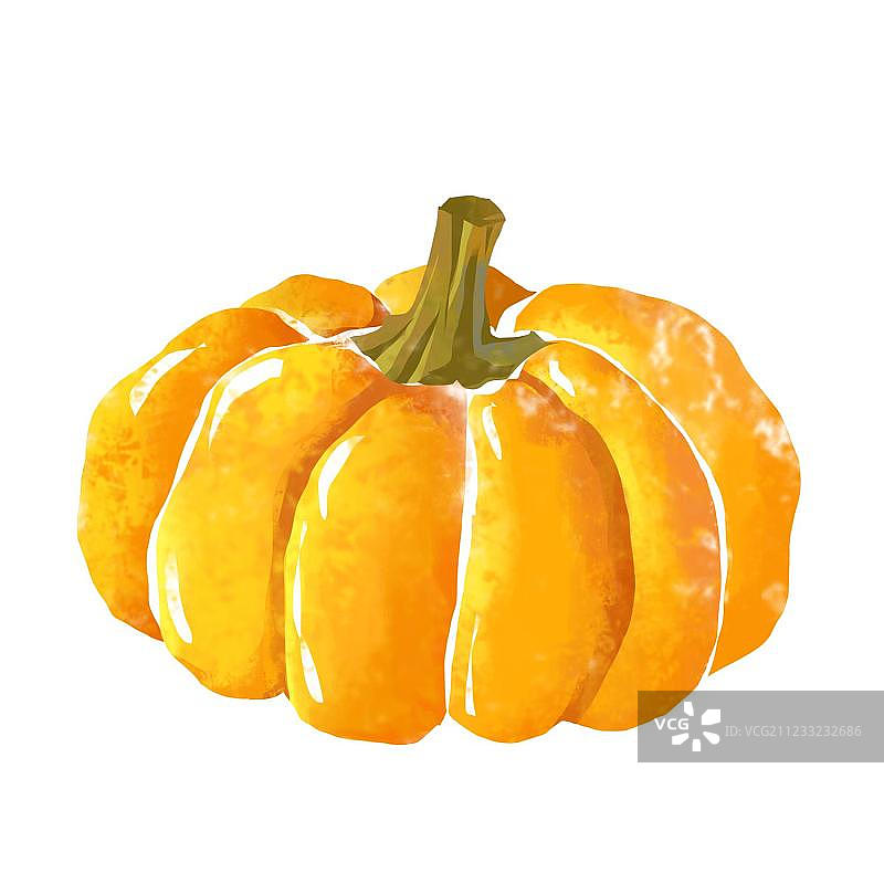 大南瓜图片素材