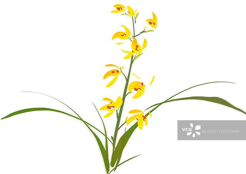 传统水墨画兰花图片素材