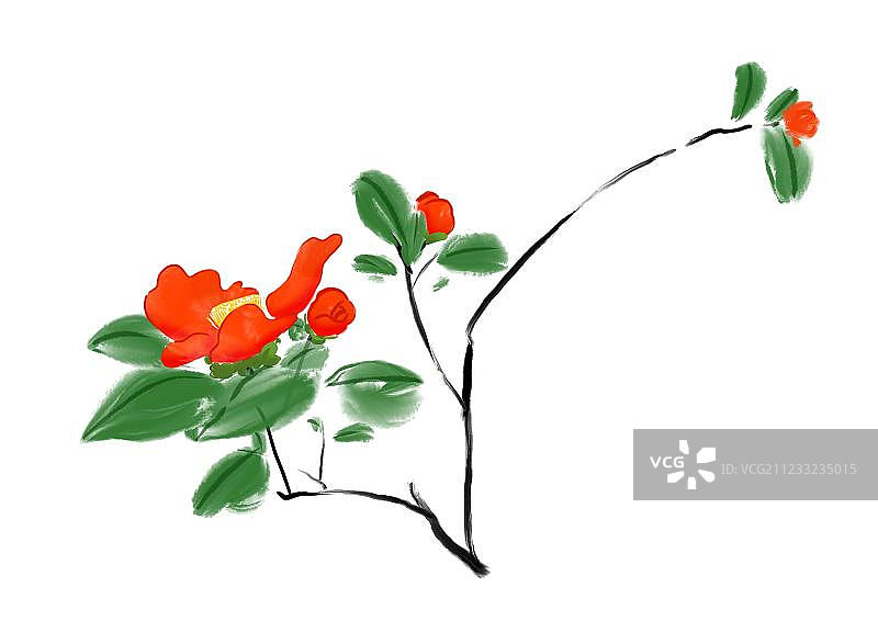 统水墨画茶花图片素材