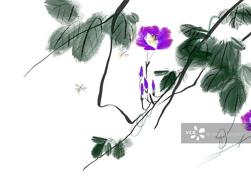 传统水墨画牵牛花图片素材