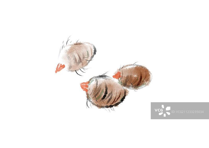 传统水墨画美味绿色营养芋头图片素材