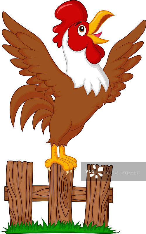 可爱公鸡在篱笆上啼叫卡通图片素材