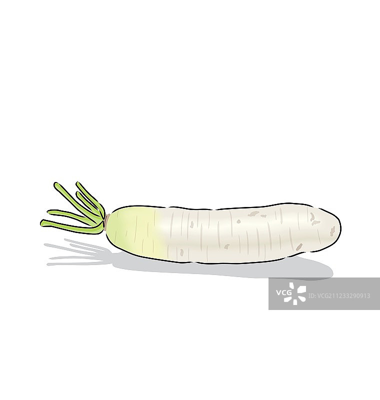 白萝卜图片素材