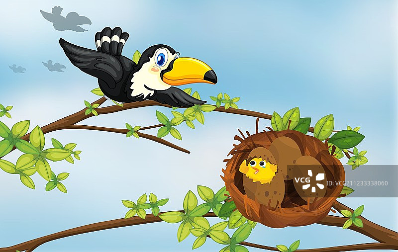 一只鸟和它的巢图片素材
