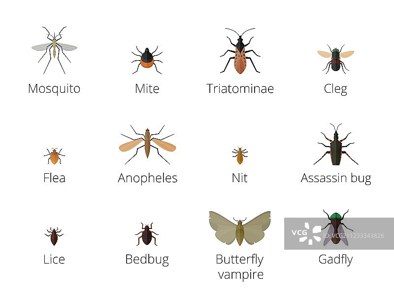 昆虫寄生图片素材