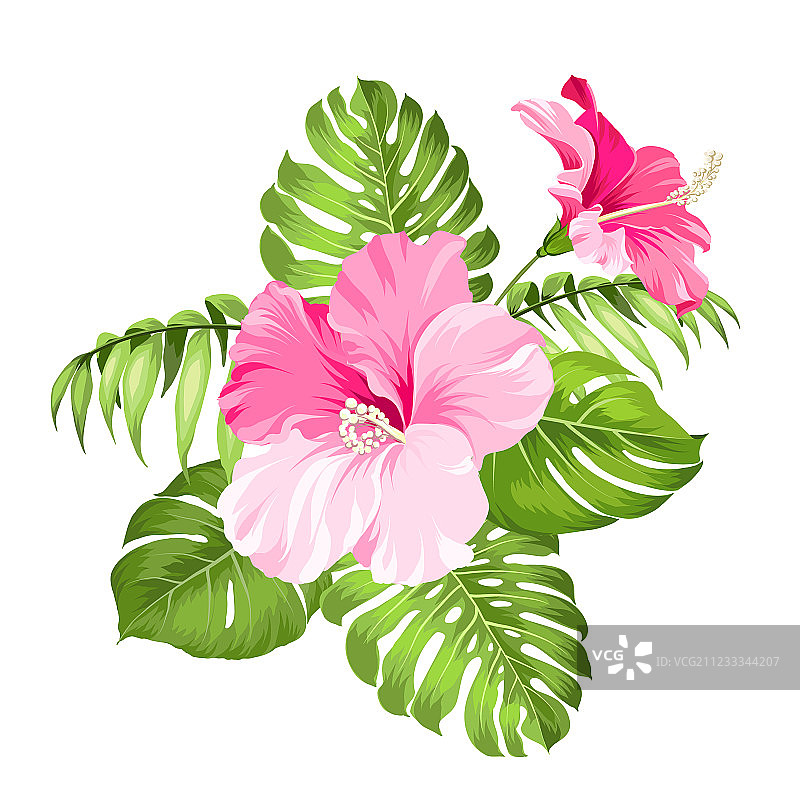 热带花卉花环图片素材