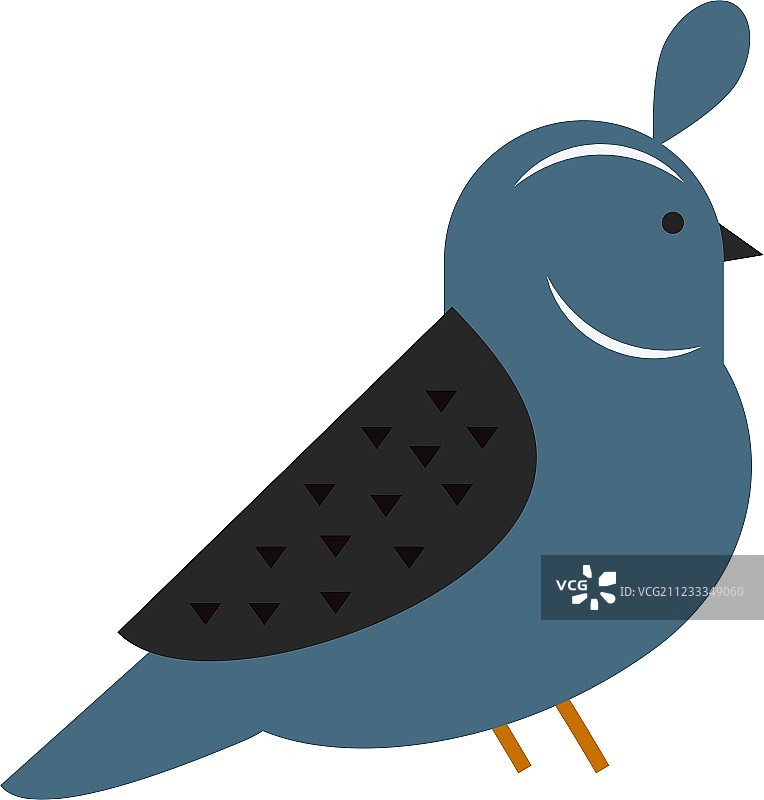 色彩鲜艳的红腹灰雀冬季鸟类图片素材