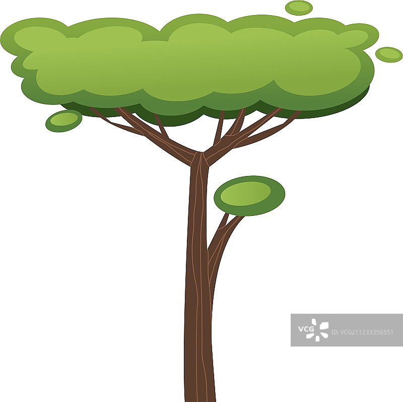 孤立在白色的非洲树图片素材