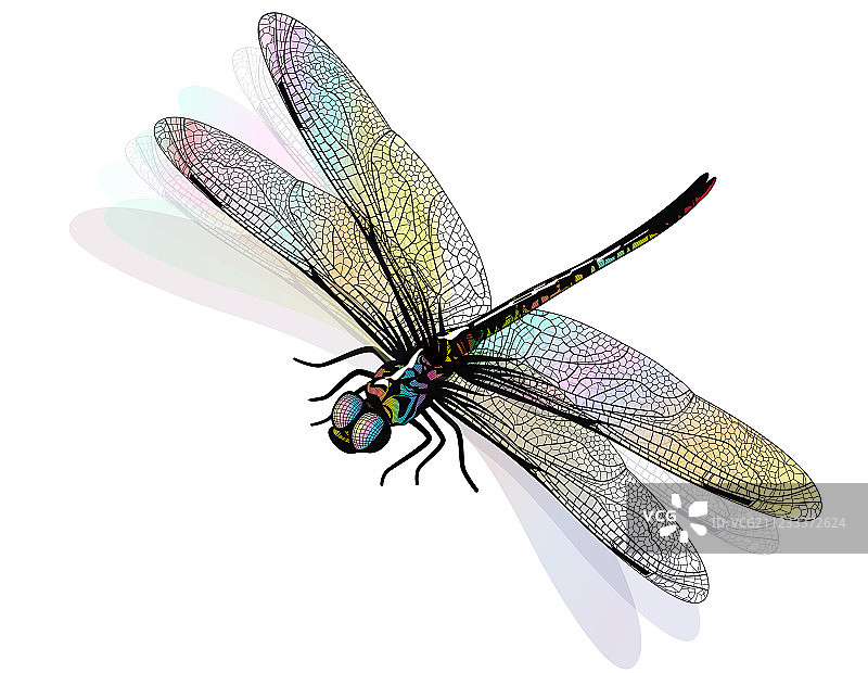 彩色蜻蜓图案（EPS10格式）图片素材