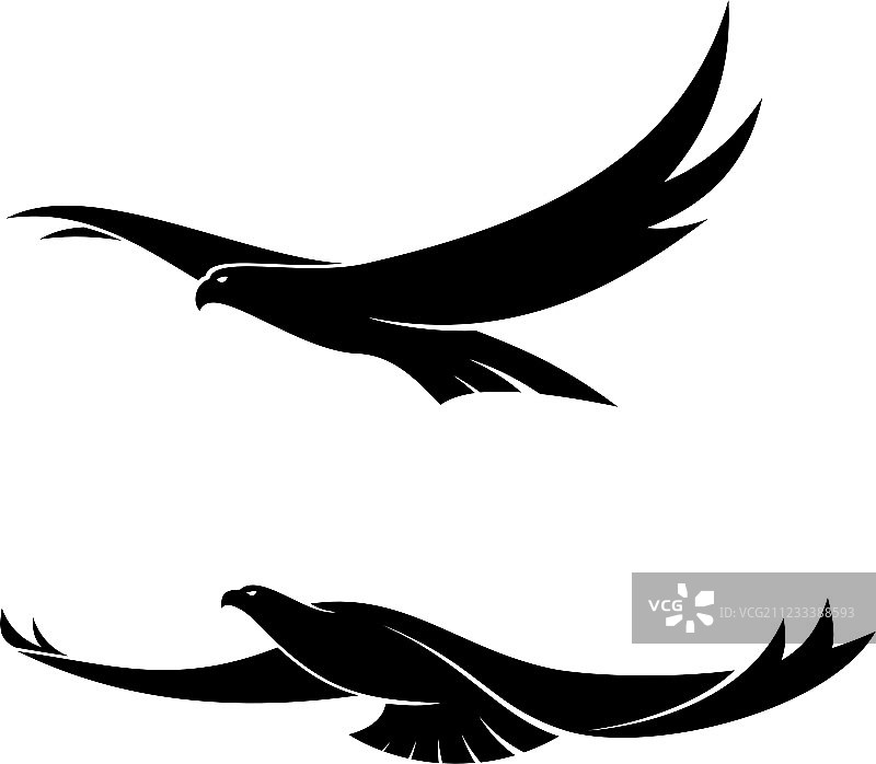 两只优雅的飞鸟图片素材