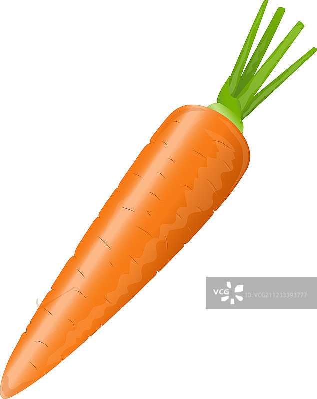 新鲜的胡萝卜图片素材