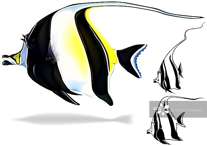 莫里什偶像套装图片素材