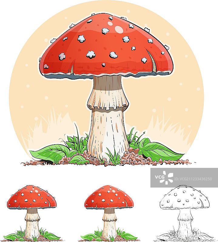 鹅膏菌图片素材