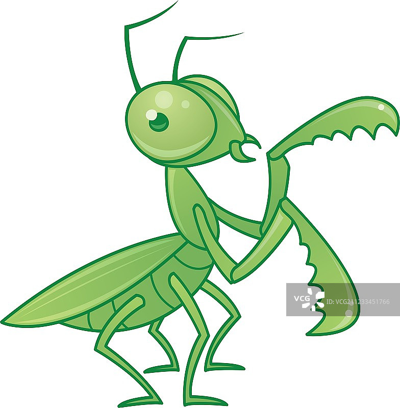 螳螂图片素材