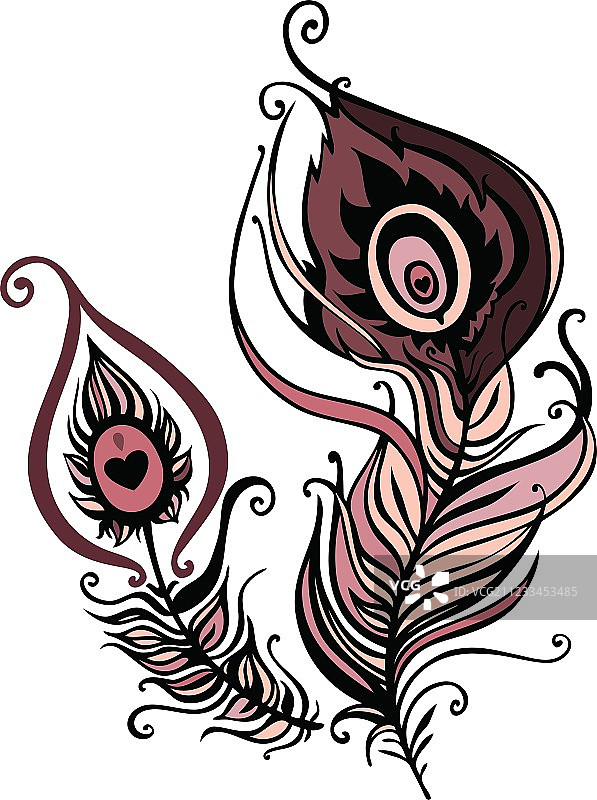 美丽的孔雀羽毛图片素材