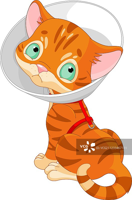 生病的可爱小猫图片素材