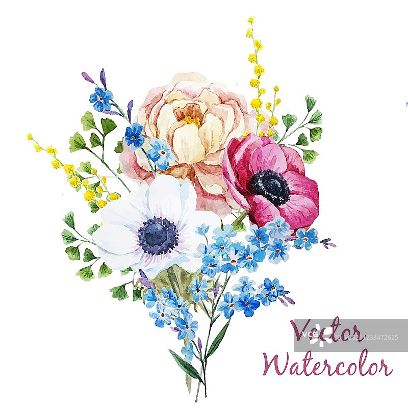 银莲花图片素材