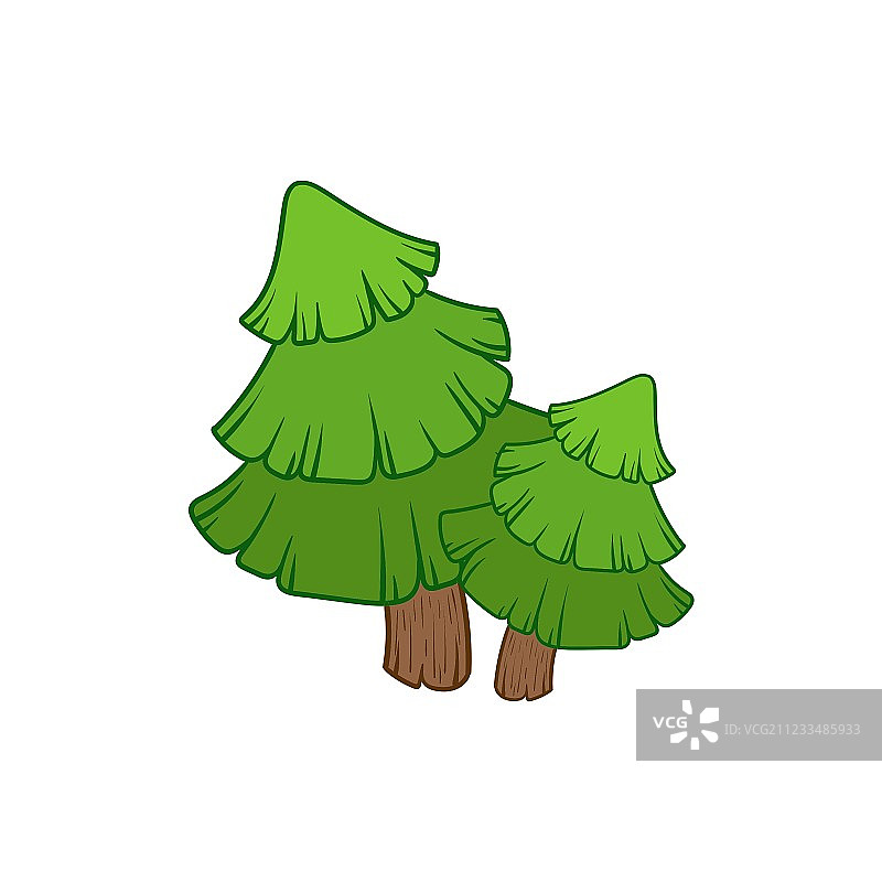 两棵冷杉树图片素材