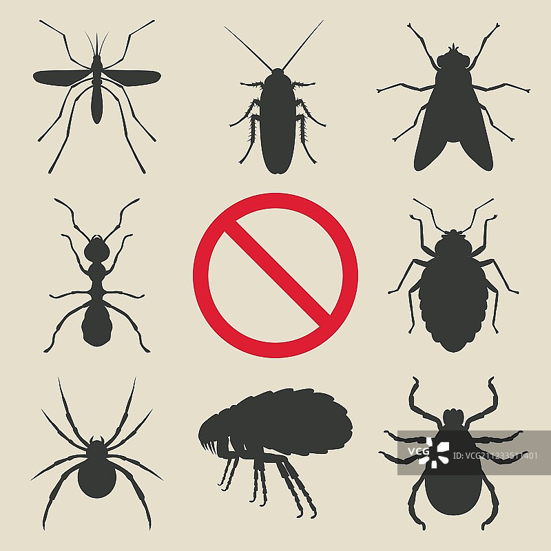 昆虫轮廓剪影合集图片素材