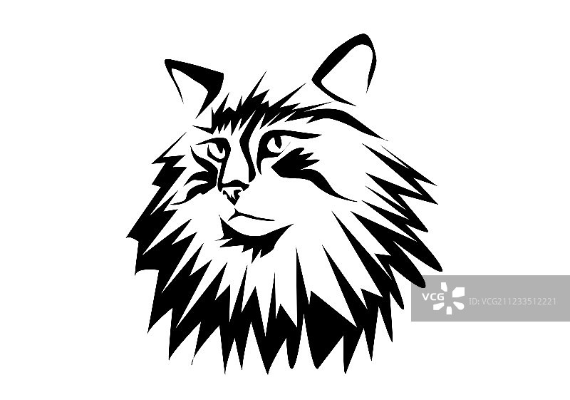 挪威森林猫图片素材