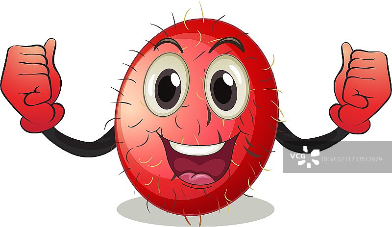 红毛丹图片素材