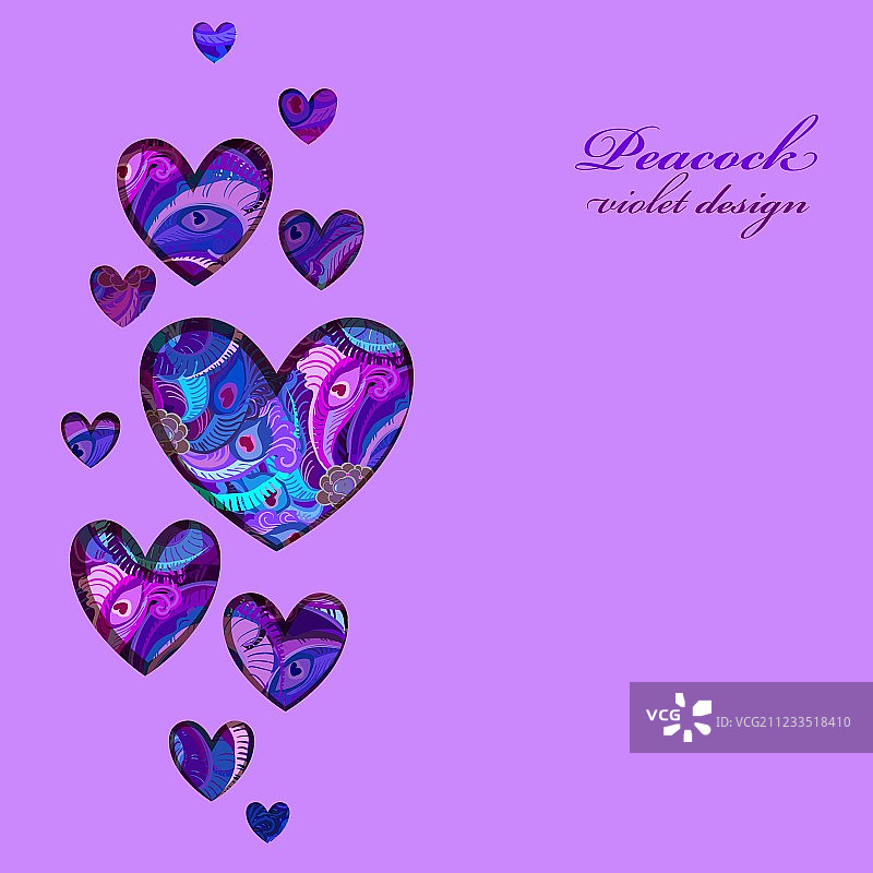 带孔雀羽毛的情人节爱心卡片图片素材