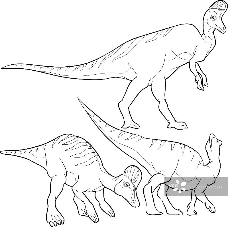 冠龙线条画图片素材