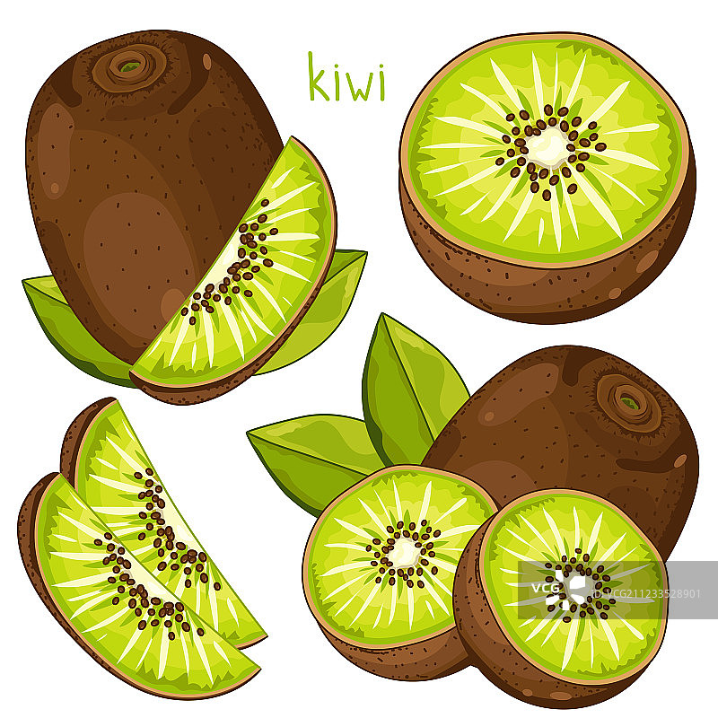 猕猴桃图片素材