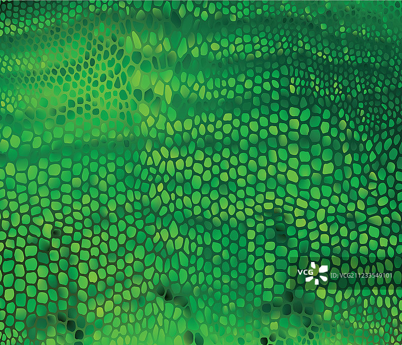 无缝纹理蛇皮图片素材