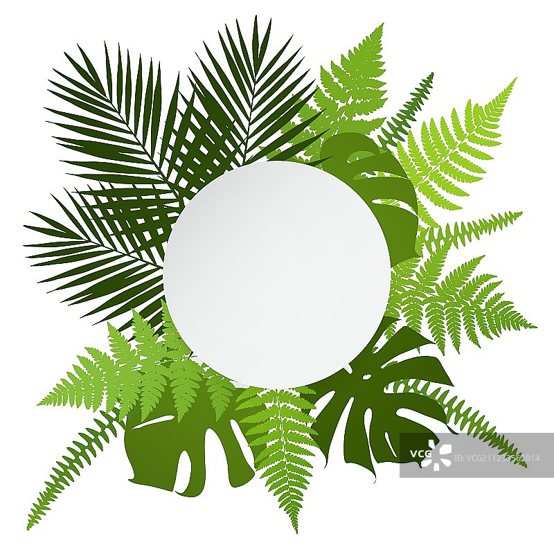 带有白色圆形banner的热带叶子背景图片素材