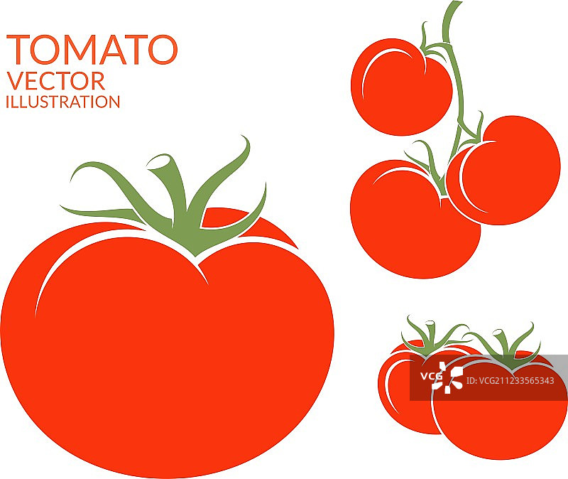 白色背景下的独立番茄图片素材