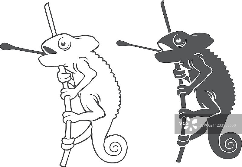 变色龙图片素材