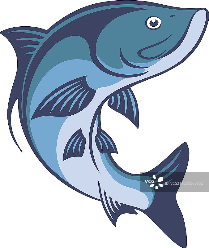 大海鲢图片素材