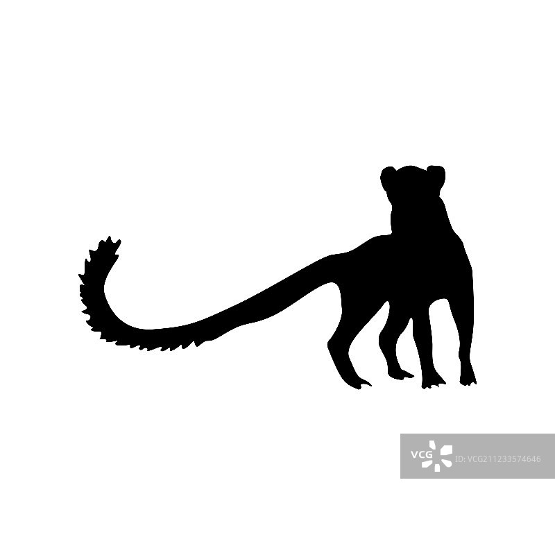 黑色的猫鼬轮廓图片素材