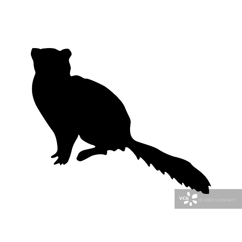黑色的猫鼬轮廓图片素材