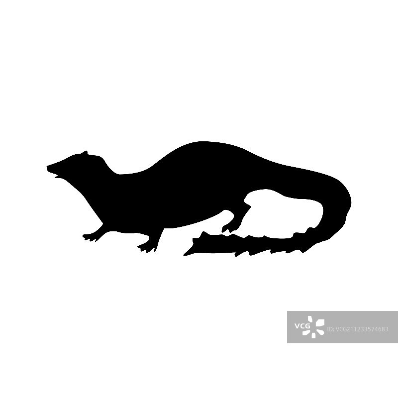 黑色的猫鼬轮廓图片素材