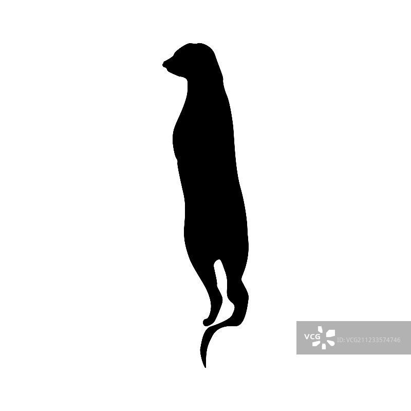 黑色的猫鼬轮廓图片素材
