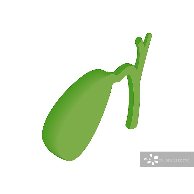 胆囊2.5D等距图标图片素材