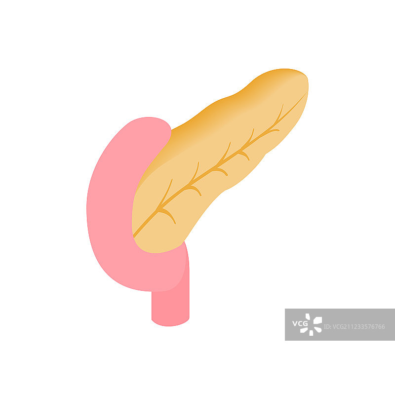 胰腺2.5D等距图标图片素材