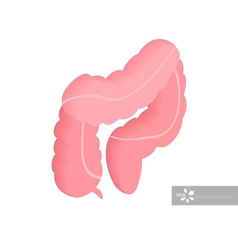 2.5D大肠等距3D图标图片素材
