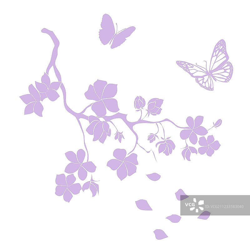 樱花树枝图片素材