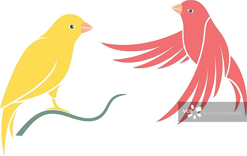 金丝雀图片素材