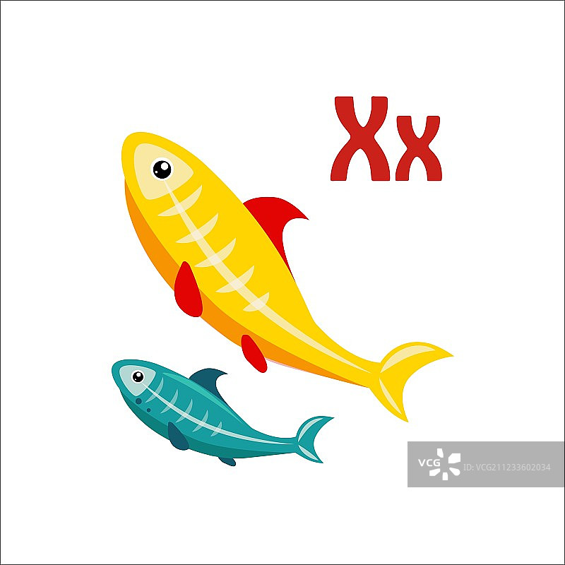 X光鱼趣味字母动物图片素材