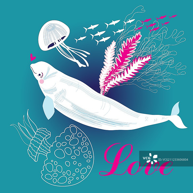 蓝色背景上相爱的有趣的白色鲸鱼图片素材