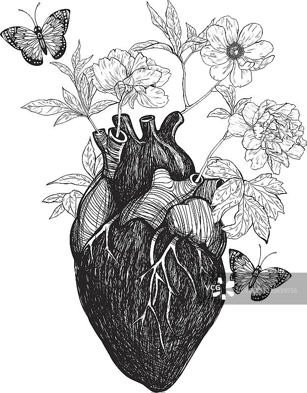 带花的人体解剖心脏图片素材