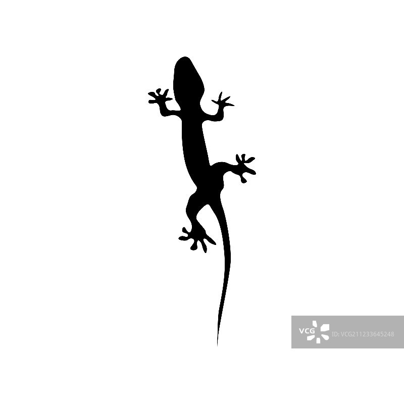 蜥蜴黑色剪影图片素材