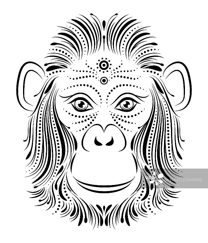 白色背景上的猴子图片素材